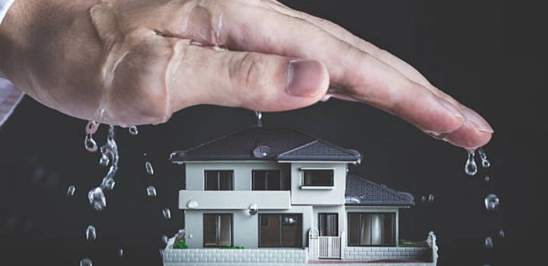 dmwholesale-services-eco-efficient-methods-for-preventing-and-addressing-water-damage